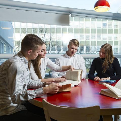 Nemendur vinna fjölbreytta vinnu
